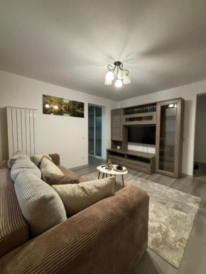 Top City Apartment Coresi